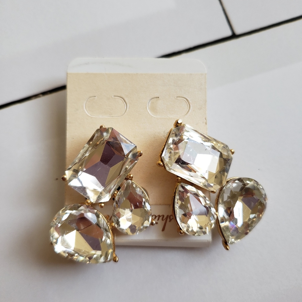 Fashion earrings